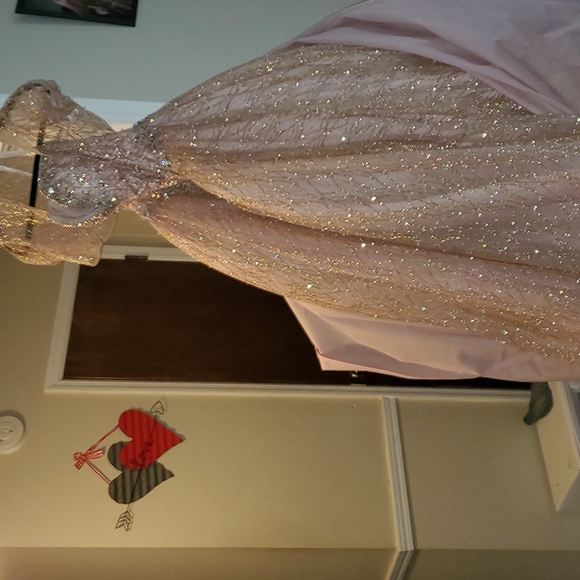 MORILLE Madeline Gardner Dresses & Skirts - My daughter used it for her quinseañera. will not use it again sizes 4 rosegold